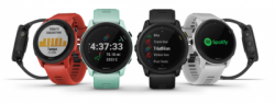 large FORERUNNER 745 GARMIN BALIDIVESHOP 1